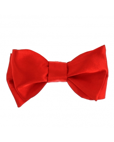 Noeud Papillon à Nouer Rouge