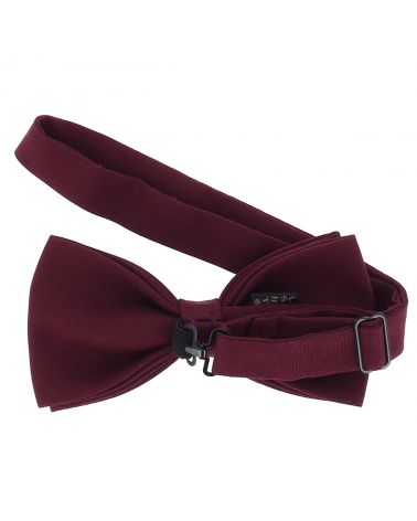 Noeud Papillon Moustache Aubergine et Noir