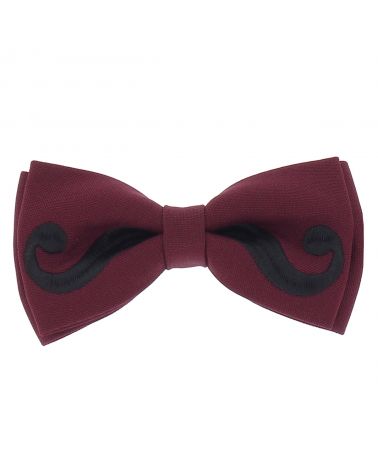 Noeud Papillon Moustache Aubergine et Noir
