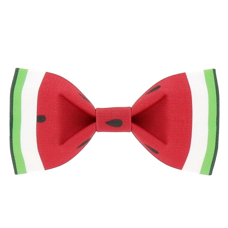 Noeud Papillon Créateur Pastèque