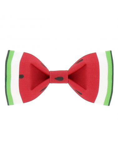 Noeud Papillon Créateur Pastèque