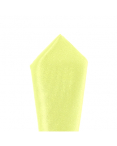 Pochette Costume Vert Anis