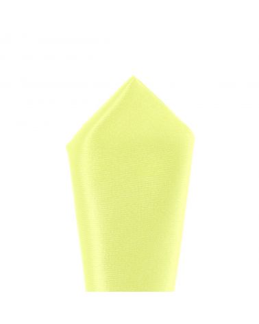 Pochette Costume Vert Anis