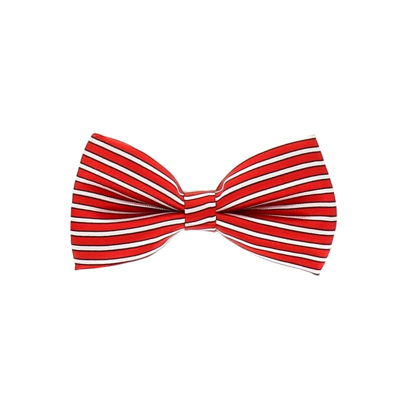 Noeud Papillon Enfant Rayé Rouge et Blanc