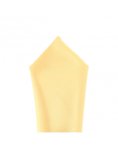 Pochette Costume Jaune pale