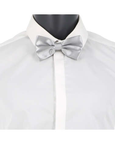 Noeud Papillon Gris argent