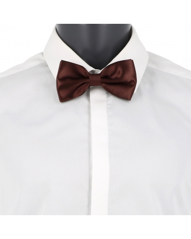 Noeud Papillon Marron