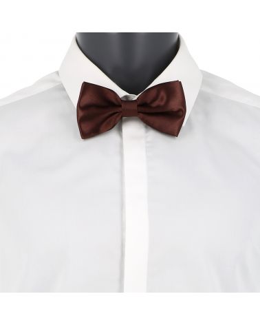 Noeud Papillon Marron