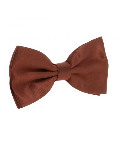 Noeud Papillon Marron clair