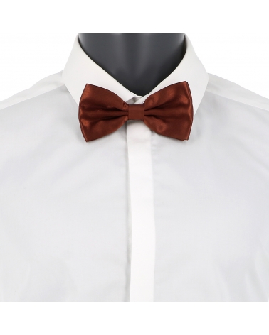 Noeud Papillon Marron clair