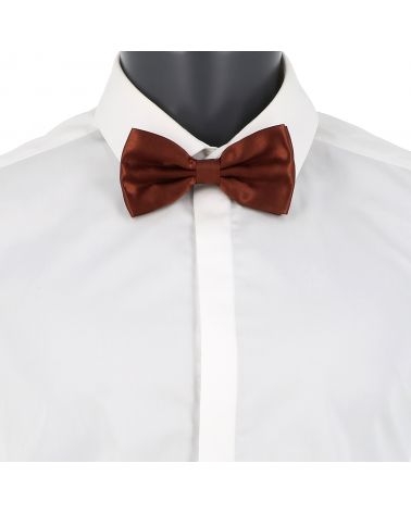 Noeud Papillon Marron clair