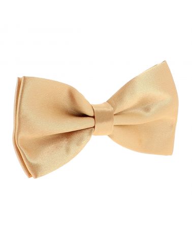 Noeud Papillon Beige cuivré