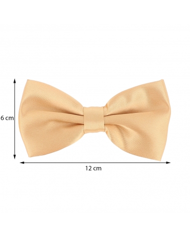 Noeud Papillon Beige cuivré