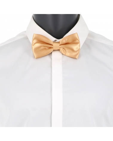 Noeud Papillon Beige cuivré