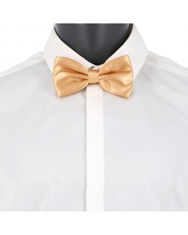 Noeud Papillon Beige cuivré