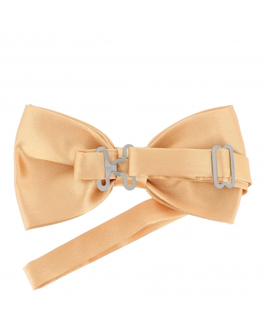 Noeud Papillon Beige cuivré