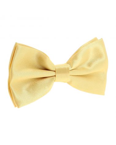 Noeud Papillon Jaune pale