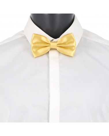 Noeud Papillon Jaune pale