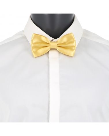 Noeud Papillon Jaune pale