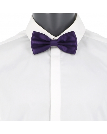 Noeud Papillon Violet