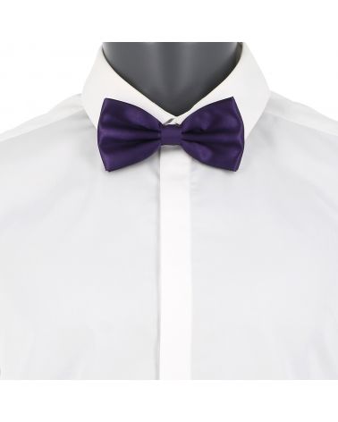 Noeud Papillon Violet