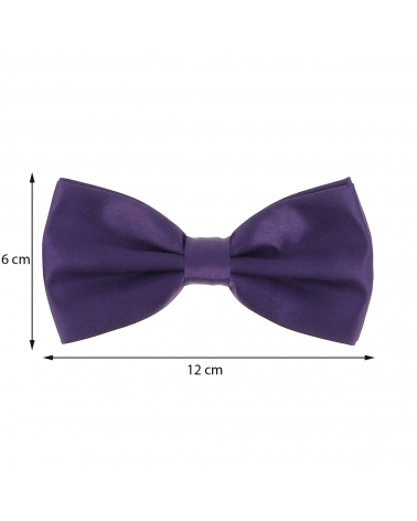 Noeud Papillon Violet