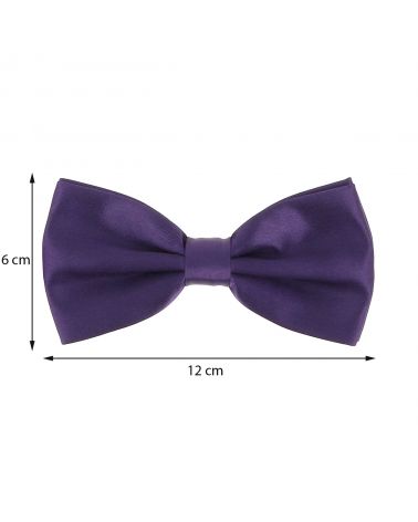 Noeud Papillon Violet