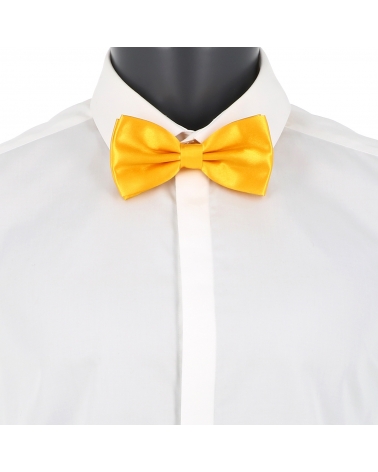 Noeud Papillon Jaune Orange
