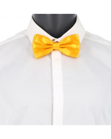 Noeud Papillon Jaune Orange