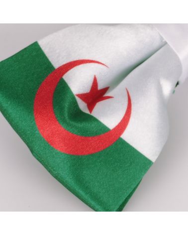 Noeud Papillon Drapeau Algérien - Drapeau Algérie