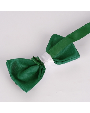 Noeud Papillon Drapeau Algérien - Drapeau Algérie