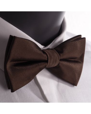 Noeud Papillon Marron Premium