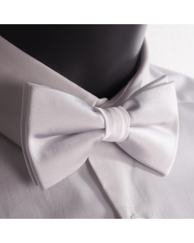 Noeud Papillon Blanc Premium