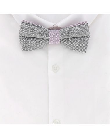 Noeud Papillon Pastel Gris et Parme