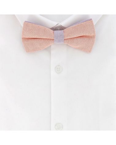 Noeud Papillon Pastel Orange et Parme