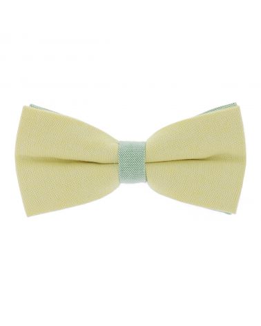 Noeud Papillon Pastel Jaune et Vert